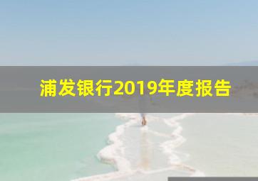 浦发银行2019年度报告