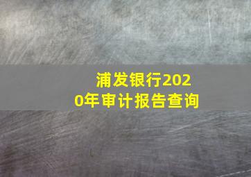 浦发银行2020年审计报告查询