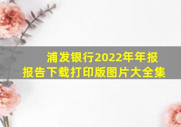 浦发银行2022年年报报告下载打印版图片大全集