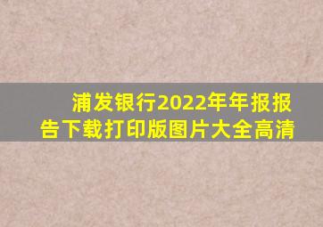 浦发银行2022年年报报告下载打印版图片大全高清