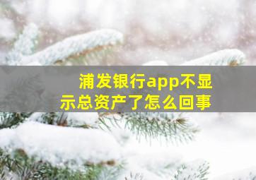 浦发银行app不显示总资产了怎么回事