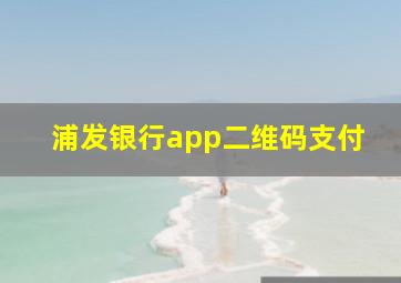 浦发银行app二维码支付