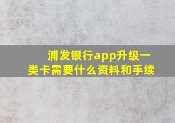 浦发银行app升级一类卡需要什么资料和手续