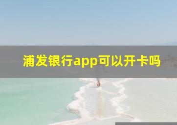 浦发银行app可以开卡吗