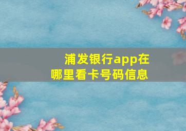 浦发银行app在哪里看卡号码信息