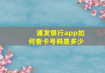 浦发银行app如何查卡号码是多少