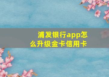 浦发银行app怎么升级金卡信用卡