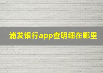 浦发银行app查明细在哪里