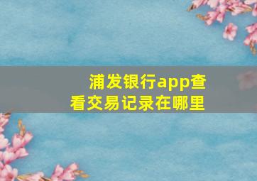 浦发银行app查看交易记录在哪里