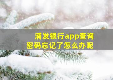 浦发银行app查询密码忘记了怎么办呢