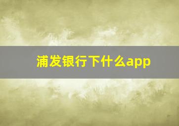 浦发银行下什么app