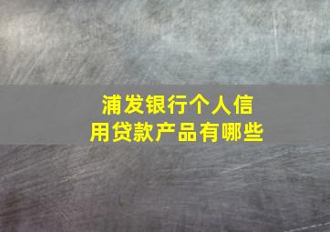 浦发银行个人信用贷款产品有哪些