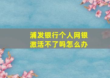 浦发银行个人网银激活不了吗怎么办