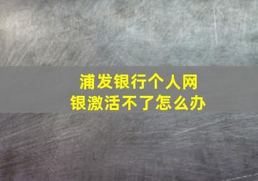 浦发银行个人网银激活不了怎么办