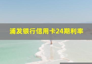 浦发银行信用卡24期利率