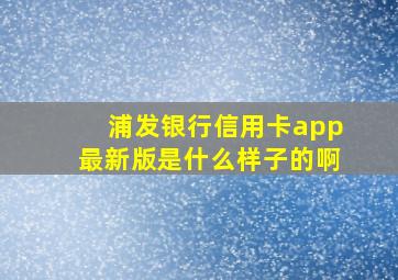 浦发银行信用卡app最新版是什么样子的啊