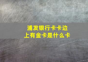 浦发银行卡卡边上有金卡是什么卡