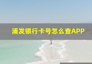 浦发银行卡号怎么查APP