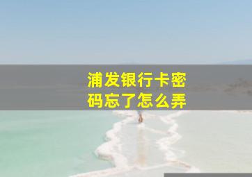 浦发银行卡密码忘了怎么弄