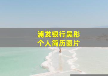 浦发银行吴彤个人简历图片