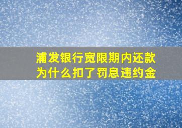 浦发银行宽限期内还款为什么扣了罚息违约金