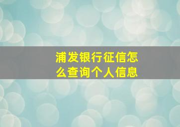 浦发银行征信怎么查询个人信息