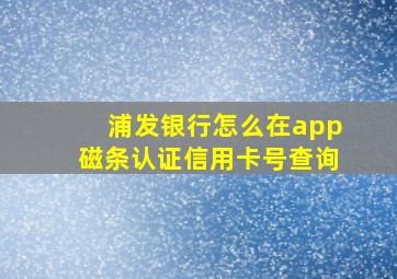 浦发银行怎么在app磁条认证信用卡号查询