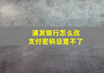 浦发银行怎么改支付密码设置不了