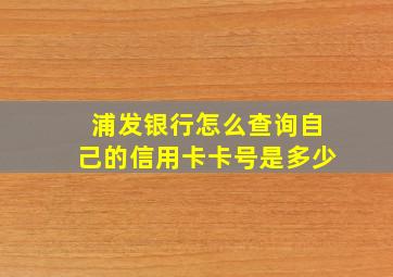 浦发银行怎么查询自己的信用卡卡号是多少