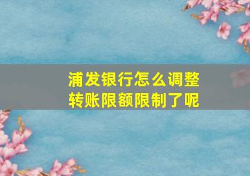 浦发银行怎么调整转账限额限制了呢