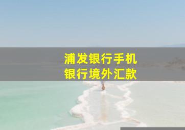 浦发银行手机银行境外汇款