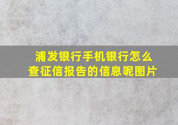 浦发银行手机银行怎么查征信报告的信息呢图片