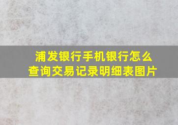 浦发银行手机银行怎么查询交易记录明细表图片