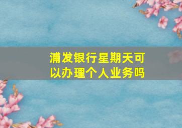 浦发银行星期天可以办理个人业务吗