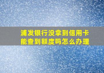 浦发银行没拿到信用卡能查到额度吗怎么办理