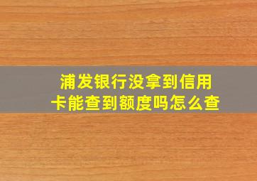 浦发银行没拿到信用卡能查到额度吗怎么查