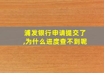 浦发银行申请提交了,为什么进度查不到呢