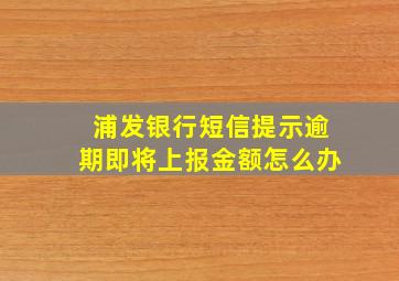 浦发银行短信提示逾期即将上报金额怎么办