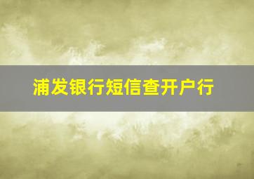 浦发银行短信查开户行