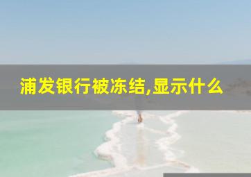 浦发银行被冻结,显示什么