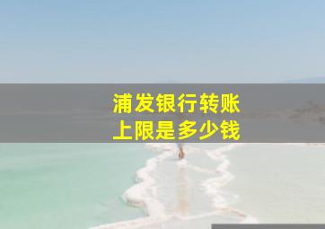 浦发银行转账上限是多少钱