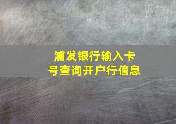 浦发银行输入卡号查询开户行信息