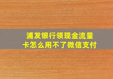 浦发银行领现金流量卡怎么用不了微信支付