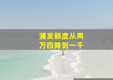 浦发额度从两万四降到一千