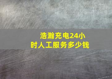 浩瀚充电24小时人工服务多少钱