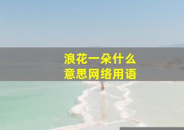 浪花一朵什么意思网络用语