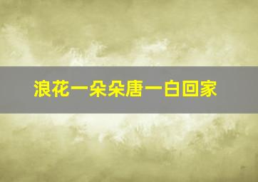 浪花一朵朵唐一白回家