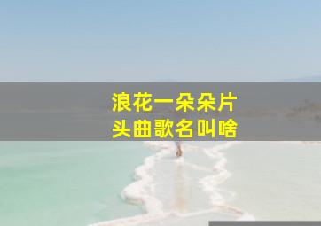 浪花一朵朵片头曲歌名叫啥