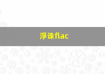 浮诛flac