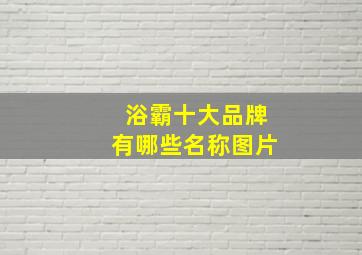 浴霸十大品牌有哪些名称图片